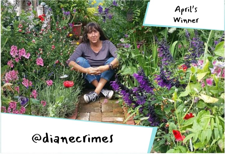 Garden image